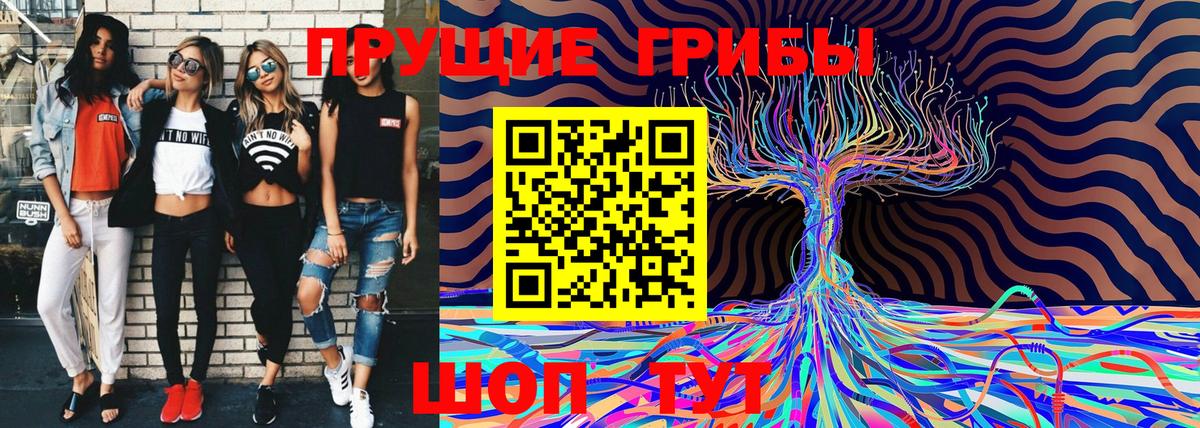 Псилоцибиновые грибы Magic Shrooms  купить закладку  Тихорецк  Вход с VPN  Псилоцибиновые грибы GOLDEN TEACHER 
